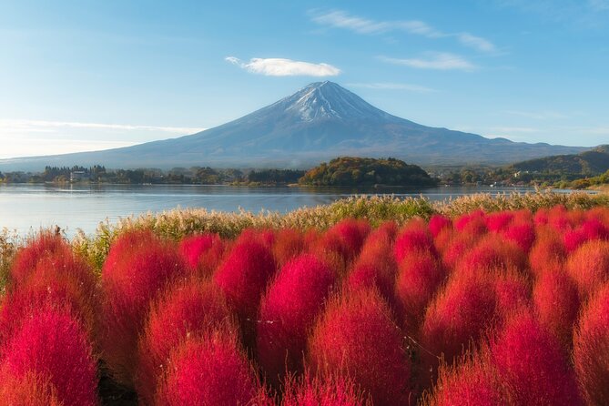 From Tokyo Mt.Fuji, Lake Kawaguchi, Makaino Farm day tour - The Details of Your Day Trip