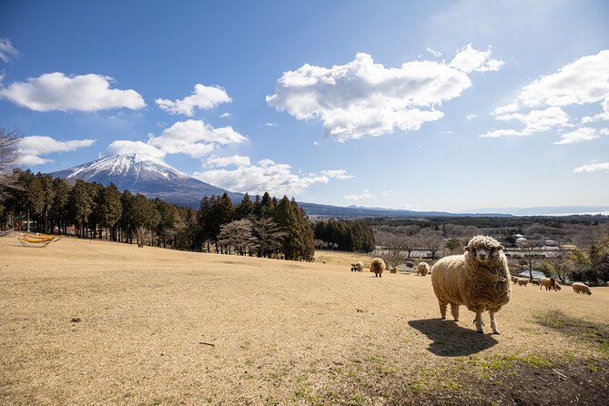 From Tokyo Mt.Fuji, Lake Kawaguchi, Makaino Farm day tour - FAQ