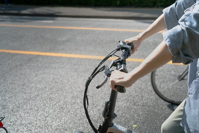 Tokyo: Private E-Bike Tour of the Imperial Palace Area - Who Will Love This Tour?