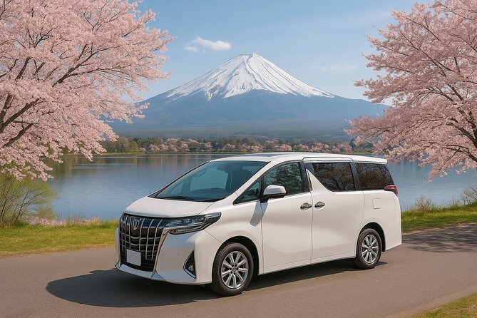 Private Chauffeur Service Haneda and Narita Airport Tokyo Hotels - Why Choose This Service?