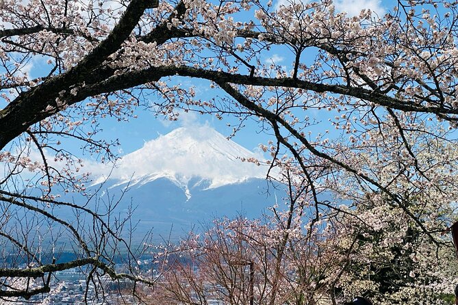 Personalized Mount Fuji Experience Customizable Full Day Trip - Who Should Consider This Tour?