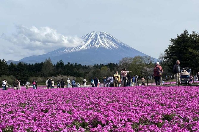 Personalized Mount Fuji Experience Customizable Full Day Trip - Is It Worth the Price?