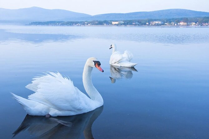 From Tokyo: Mt. Fuji 6 Attractions: Lake Kawaguchi, Oshino Hakkai - Tour Overview: A Practical Look at What You Get