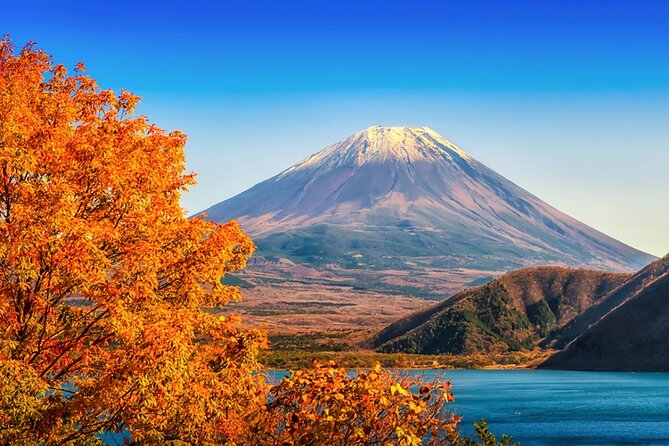 From Tokyo: Mt. Fuji 6 Attractions: Lake Kawaguchi, Oshino Hakkai - Final Word