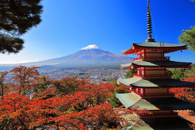 From Tokyo: Mt. Fuji 6 Attractions: Lake Kawaguchi, Oshino Hakkai - Authentic Insights and Traveler Tips