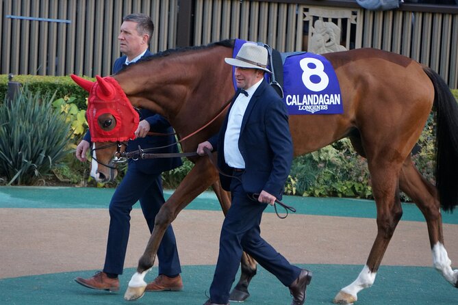 Japanese horseracing private tour with a local expert! - The Sum Up: Is it Worth Your Time?
