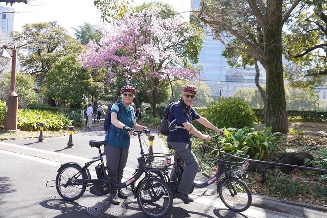 Tokyo Imperial Palace 2h Private E-bike at your pace. - Who Should Consider This Tour?