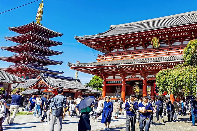 7 Days Best Japan Mini Group Tour with Toyko, Kyoto, Nara & Osaka - Nara’s Deers and Spiritual Heritage