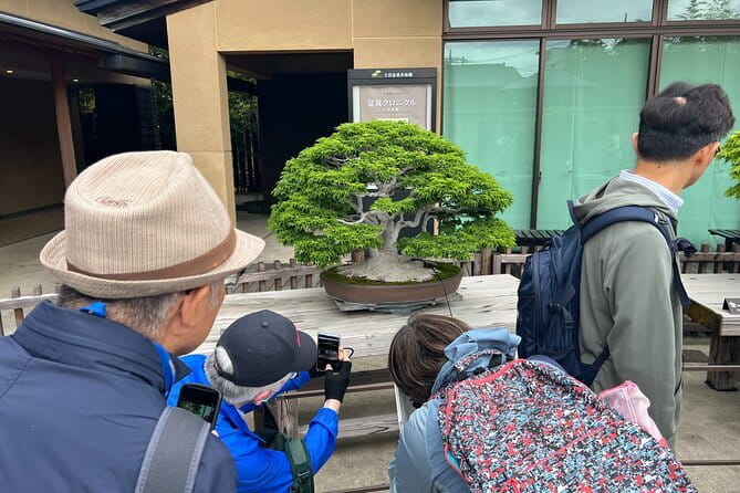 Private Omiya Bonsai Village Tour with Licensed Guide - A Deep Dive into the Omiya Bonsai Village Tour