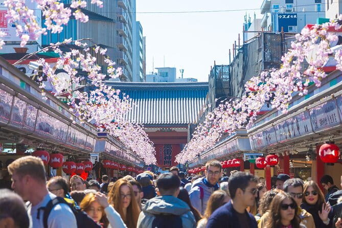 Tokyo 6hr Private Guided Tour & Pottery Making Experience - Who Is This Tour Best For?