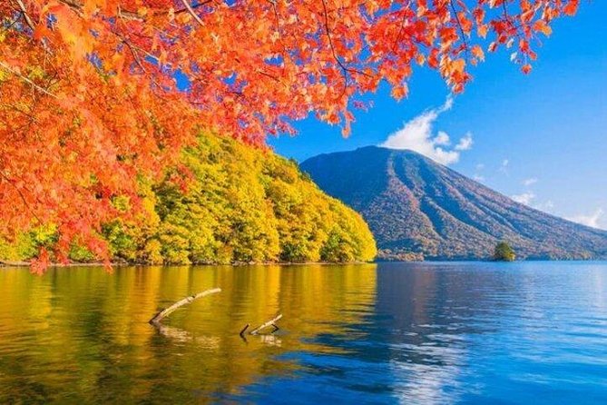 Nikko Tour From Tokyo With Guide and Vehicle - Pickup Information