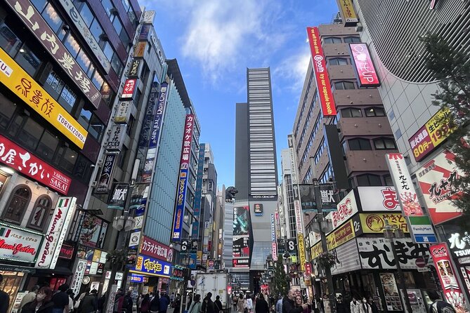 Day Tour in Shinjuku and Kagurazaka Tokyo Hotspot and Hidden Gems - Exploring Tokyo’s Best-Kept Secrets and Iconic Districts