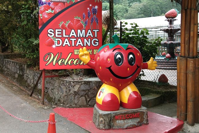 Batu Caves and Genting Highland Tour - Who Would Love This Tour?