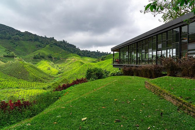 Cameron Highlands One Day Trip from Kuala Lumpur Privately Organised - Why Choose This Tour?