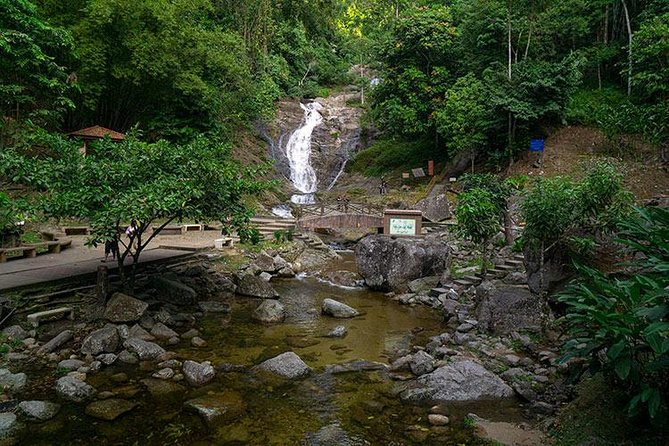 Cameron Highlands One Day Trip from Kuala Lumpur Privately Organised - The Value of the Tour: Whats Included and What to Expect