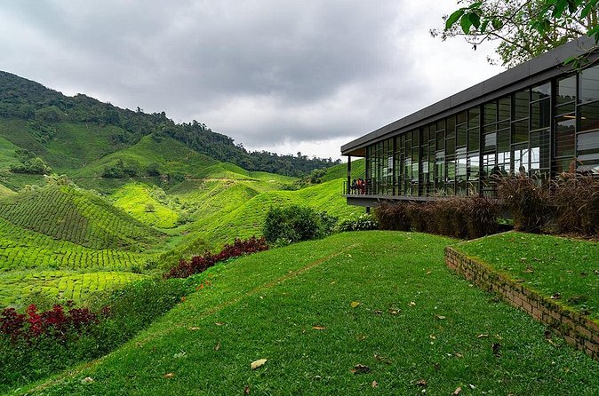 Cameron Highlands One Day Trip from Kuala Lumpur Privately Organised - FAQs