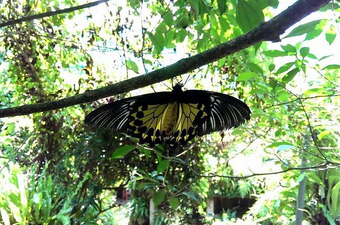 Garden & Parks Tour From Kuala Lumpur - Practical Considerations