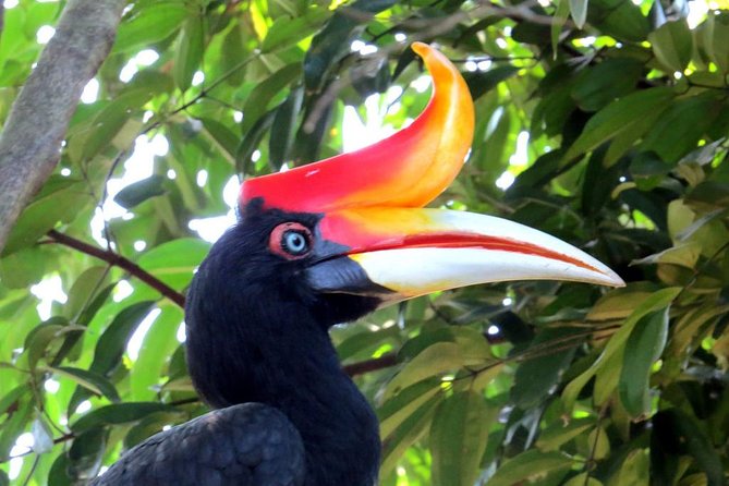 Garden & Parks Tour From Kuala Lumpur - Good To Know