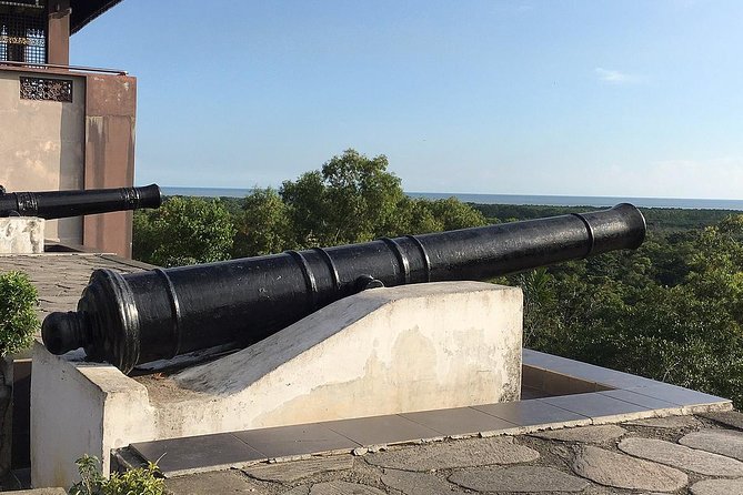 Kuala Selangor Fireflies Experience  Day Trip from Kuala Lumpur - Pricing and Value