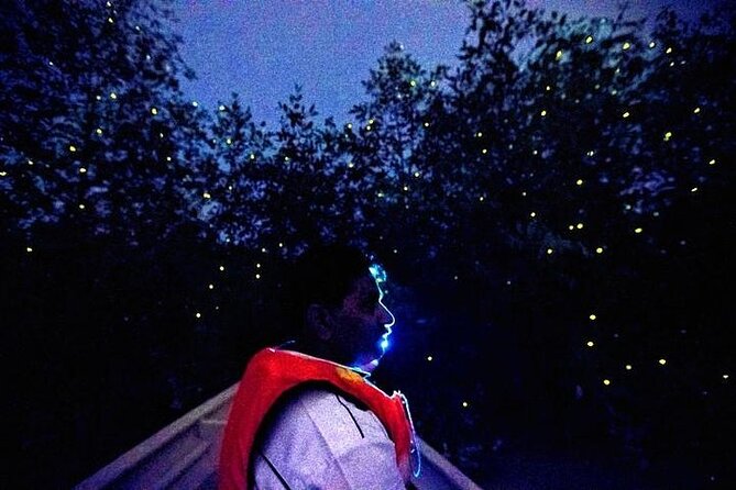 Kuala Selangor Fireflies Experience  Day Trip from Kuala Lumpur - Who Would Love This Tour?