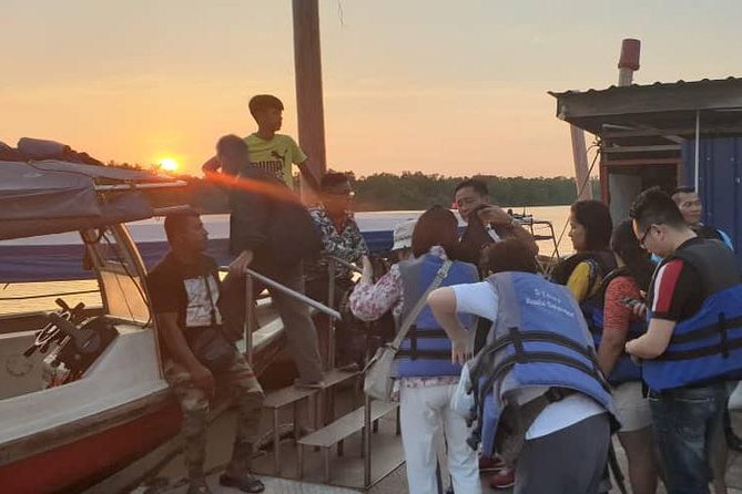 Magical Fireflies Tour - What Travelers Say: Authentic Feedback