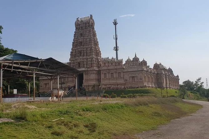 Magical Fireflies Tour - FAQ