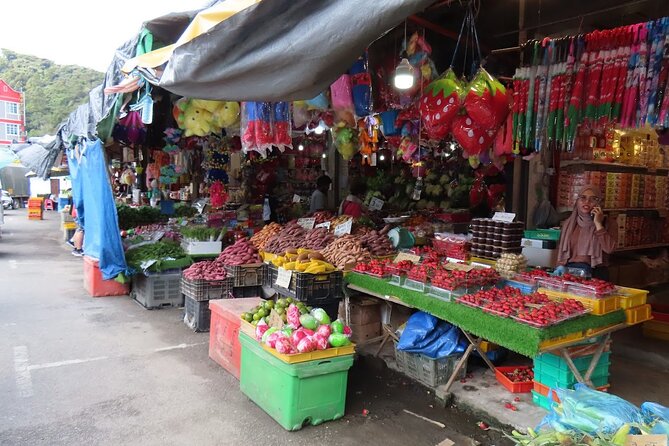 Cameron Highlands Day Tour From Kuala Lumpur 2025 - Key Points