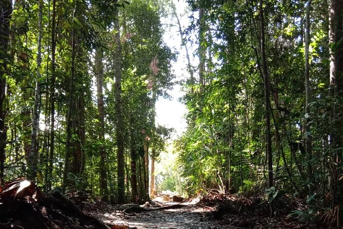 Taman Negara National Park Day Tour (SIC - Join In Tour) - Who Will Love This Tour?