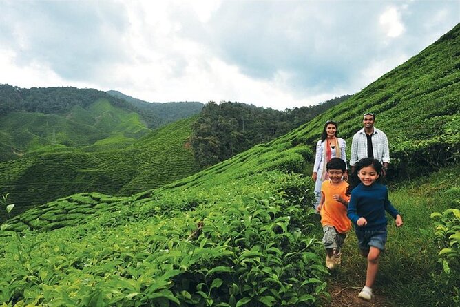 Private Nature Trip to Cameron Highlands from Kuala Lumpur - First Stop: Cameron Highlands’ Signature Attractions
