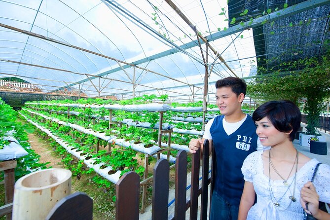 Private Nature Trip to Cameron Highlands from Kuala Lumpur - Who Will Love This Tour?