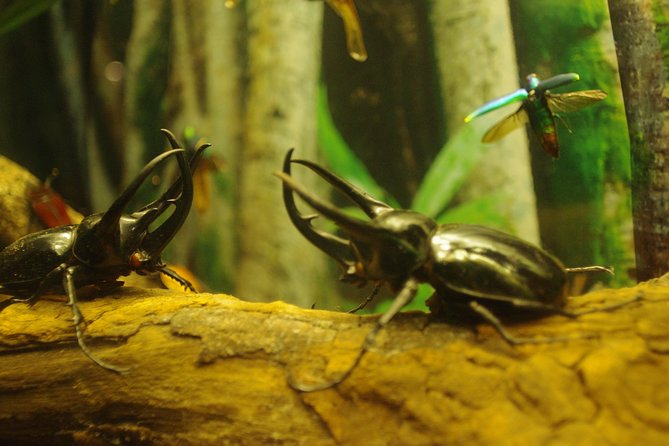 Aquaria KLCC Ticket - FAQ