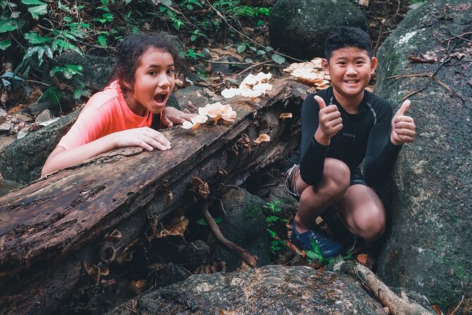 Secluded Waterfall Adventure - An Authentic Jungle Escape Near Kuala Lumpur