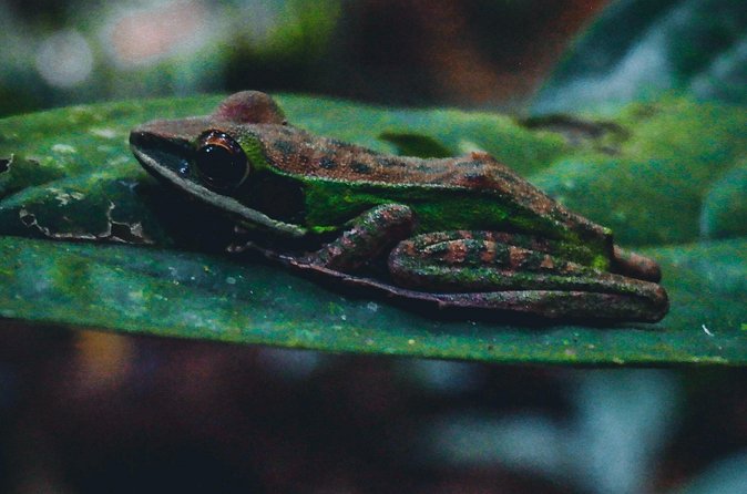 Secluded Waterfall Adventure - Final Thoughts