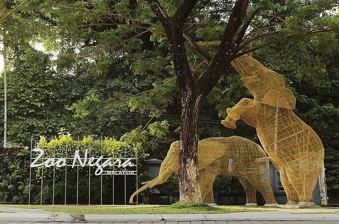 Malaysia National Zoo (Zoo Negara) with Giant Panda Viewing - Final Word