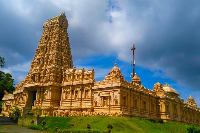 Mystical Nights: Fireflies & Blue Tears Adventure - An In-Depth Look at the Mystical Nights Tour