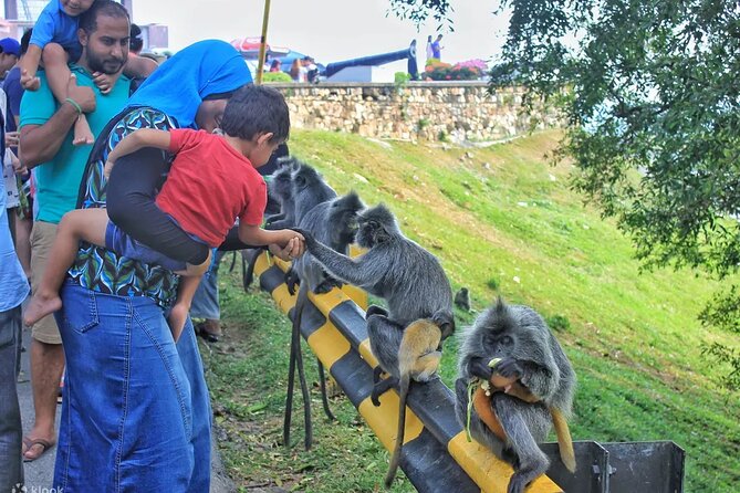 Mystical Nights: Fireflies & Blue Tears Adventure - FAQ