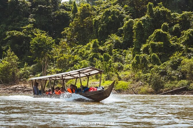 Jungle Odyssey: Unleash Your Adventure in Taman Negara! - Transportation and Group Size
