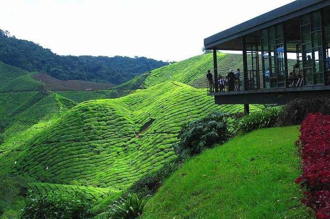 2Days 1Night Cameron Highland and Penang Island Private Tour from Kuala Lumpur - Experience the Beauty and Culture of Malaysia in Just Two Days