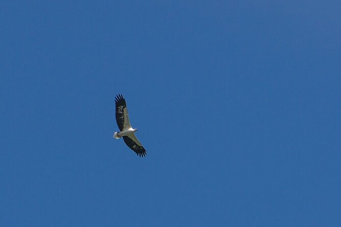 Half-Day Geopark Cruise from Langkawi - What We Like About the Tour