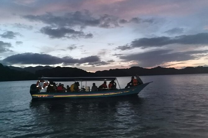 Glow-in-the-Dark Mangrove Adventure  Night Safari Plus Dinner - Practical Considerations