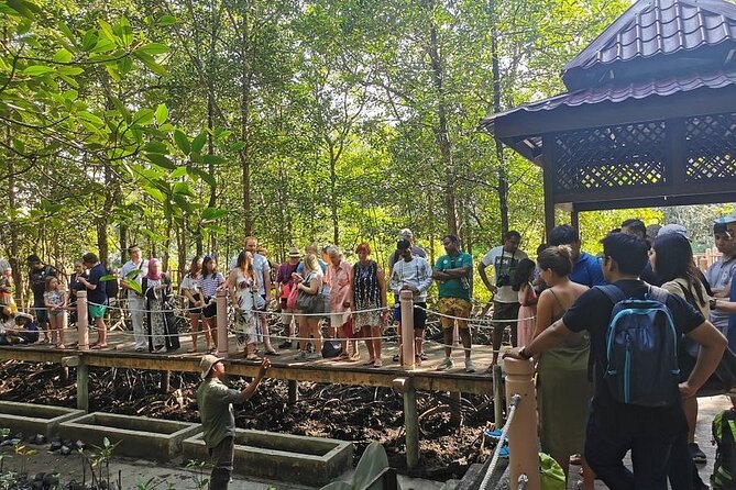 Glow-in-the-Dark Mangrove Adventure  Night Safari Plus Dinner - Who Should Consider This Tour?