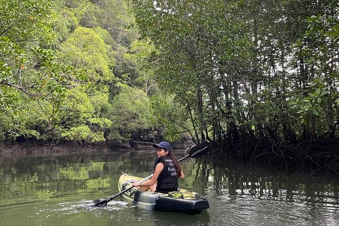 Half-Day Geopark Mangrove Kayaking Adventure - Practical Tips for Booking and Enjoying the Tour