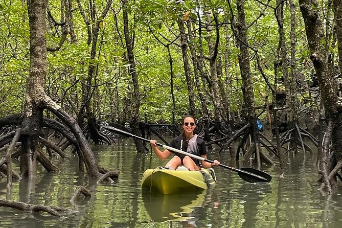 Half-Day Geopark Mangrove Kayaking Adventure - The Sum Up