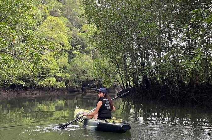 Half-Day Geopark Mangrove Kayaking Adventure - Why This Tour Offers Great Value