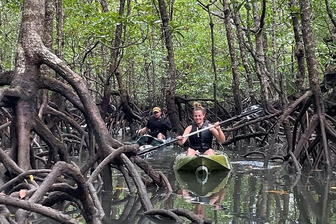 Half-Day Geopark Mangrove Kayaking Adventure - Experience the Magic of Langkawi’s Mangroves with a Half-Day Kayaking Tour