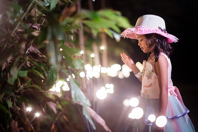 Explore Mystical Wonderland of Dream Forest Langkawi with Pickup - The Itinerary in Detail