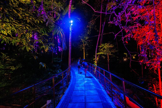 Explore Mystical Wonderland of Dream Forest Langkawi with Pickup - Who Would Love This Tour?