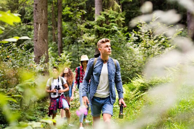 Langkawi Rainforest Jungle Trekking Tour with Private Pickup - Pricing and Value Analysis