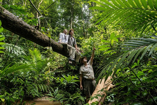 Langkawi Rainforest Jungle Trekking Tour with Private Pickup - Additional Considerations