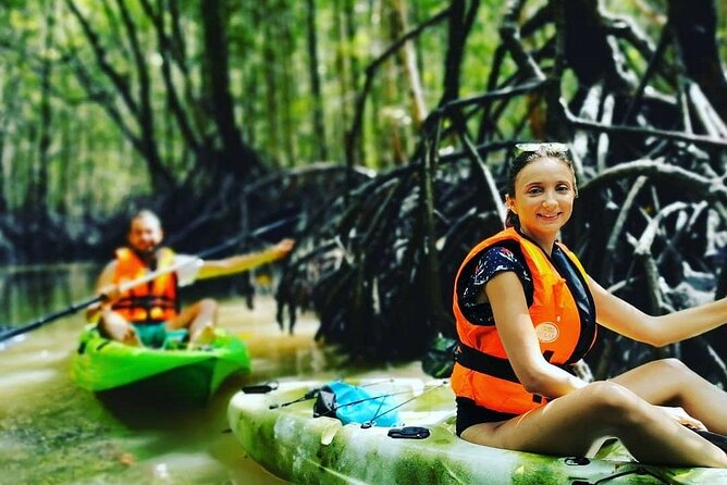 Langkawi Adventure Tour : Mangrove Kayaking with Private Pickup - The Experience: What to Expect from Start to Finish
